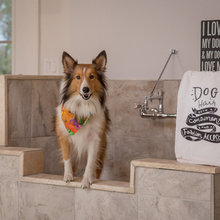 dog wash-mud room