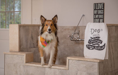 How to Install a Dog-Washing Station