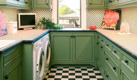 Should You Use a Paint Finish for Kitchen Cabinets?
