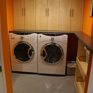 Mtn. Lakes contemporary laundry room