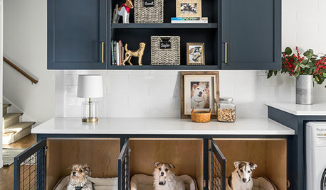 How to Integrate a Dog Den Into Your Home Decor