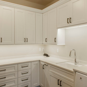 White pantry and Laundry room