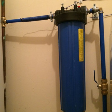 Whole House Water Filter