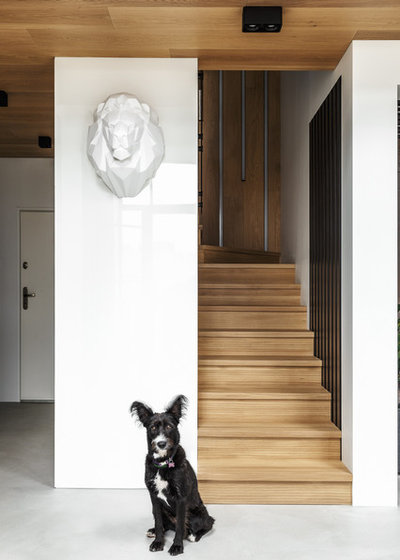 Contemporary Staircase by Design Rocks