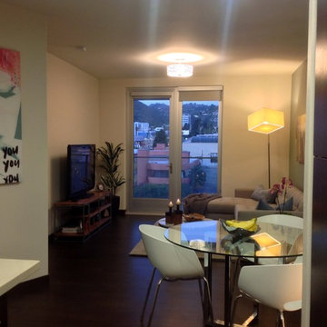 1 Bedroom Rented Condo-West Hollywood for a male professional in his early 20's