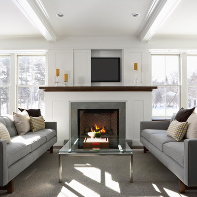 Trendy living room photo in Minneapolis with a concealed tv