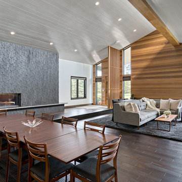 2020 Fall Remodelers Showcase: Long Lake/Orono Midcentury Modern