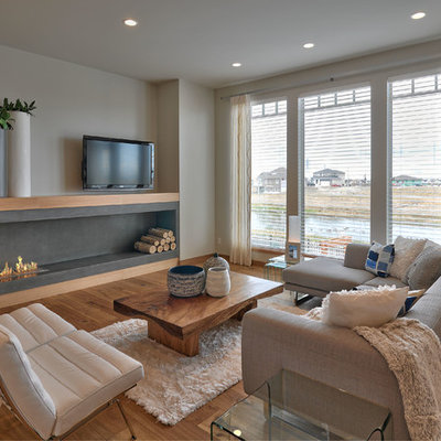 Trendy open concept medium tone wood floor and brown floor living room photo in Other with beige walls, a concrete fireplace, a tv stand and a ribbon fireplace