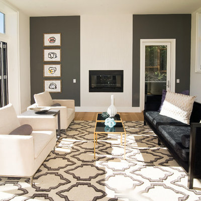 Trendy living room photo in San Francisco with gray walls and a ribbon fireplace