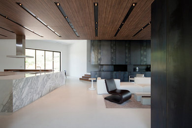 Idee per un grande soggiorno minimalista aperto con pavimento in cemento, camino classico, cornice del camino in metallo, sala formale e pareti nere