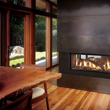 4415 ST Gas Fireplace