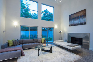 Großes, Repräsentatives, Fernseherloses Modernes Wohnzimmer im Loft-Stil mit grauer Wandfarbe, hellem Holzboden, Kamin und Kaminumrandung aus Metall in Los Angeles
