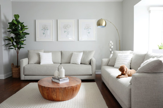Transitional Living Room by Megan Pisano Design