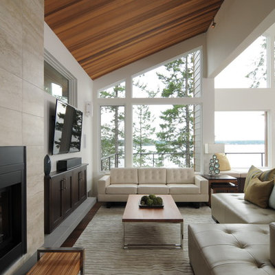 Trendy living room photo in Seattle with a ribbon fireplace, a metal fireplace and a wall-mounted tv