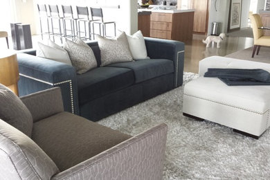 Example of a trendy living room design in Other