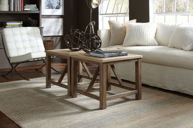 Alameda Hand Knotted Rectangle Rug in Living Room