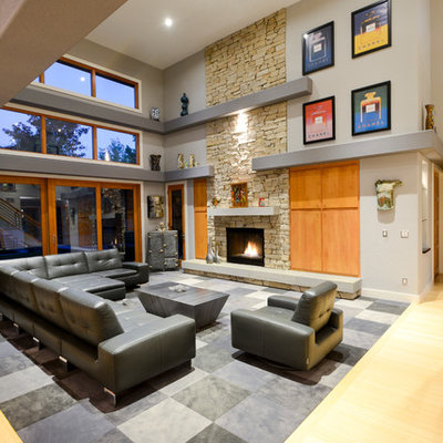 Trendy light wood floor living room photo in Denver with gray walls, a standard fireplace and a stone fireplace