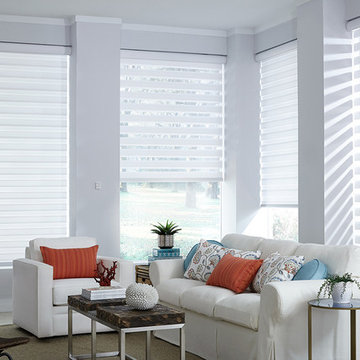 Allure Transitional Shades