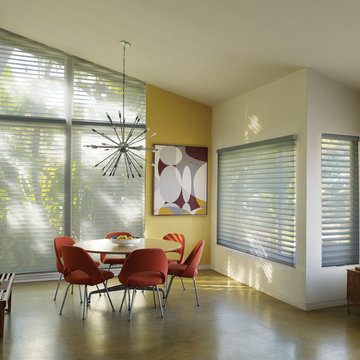 Alluring Window Silhouette Blinds