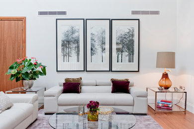 Diseño de salón contemporáneo con paredes blancas y suelo de madera en tonos medios