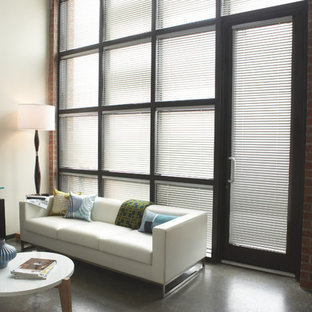 Inspiration for a modern living room remodel in Houston