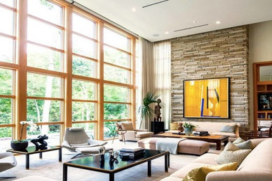 Inspiration for a contemporary living room remodel in Indianapolis