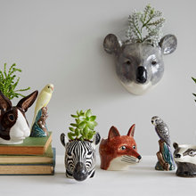 Decor