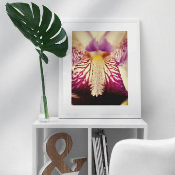 Antiqued Iris Nature Floral Wall Art Print