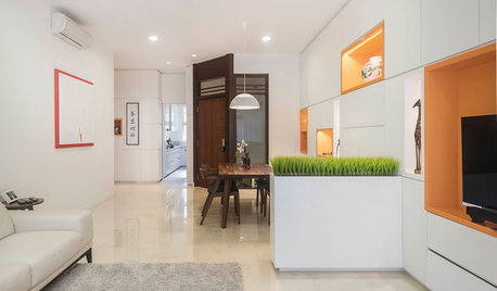 Singapore Houzz: An Apartment Blends Feng Shui With Modern Design