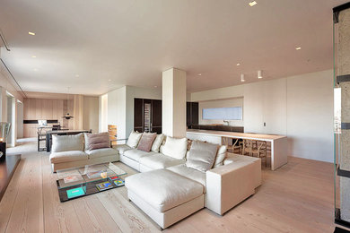 Diseño de salón actual con paredes blancas y suelo de madera en tonos medios