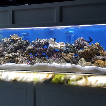 Aquarium