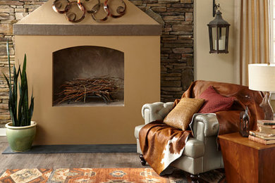 Living room - rustic living room idea in Denver