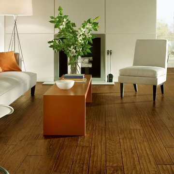 Armstrong Flooring Living Room