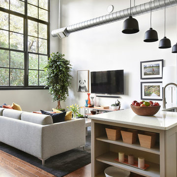 Atlanta Down Town Loft Living