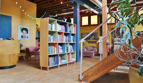 My Houzz: Vision Pays Off in a Vibrant Live-Work Space