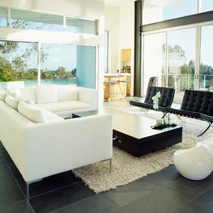 75 Beautiful Contemporary Barcelona Chair Home Design | Houzz Pictures