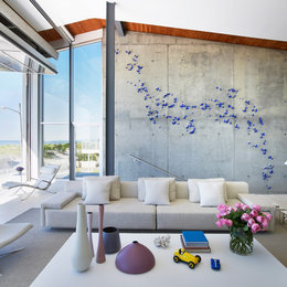 https://www.houzz.com/photos/beach-house-on-long-island-contemporary-living-room-new-york-phvw-vp~2663016