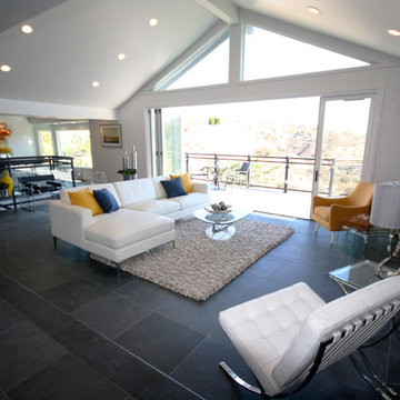 Bell Canyon Modern