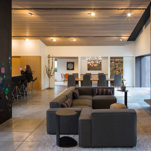 Bellevue Mid-Modern