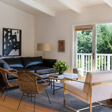 Belvedere (Marin) Contemporary Living Room