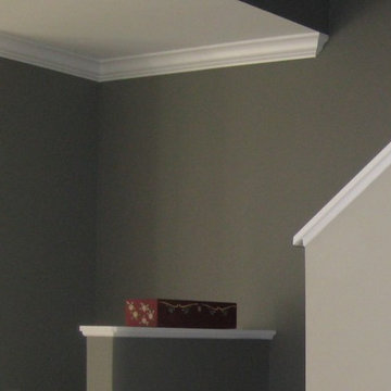 Benjamin Moore Dolphin & Thunder