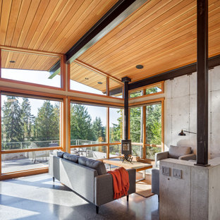 75 Beautiful Living Room with a Wood Burning Stove and a Vaulted ...