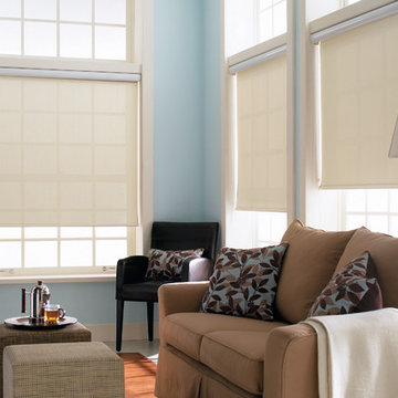 Blinds.com Light Filtering Roller Shades