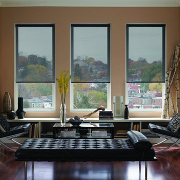 Blinds.com Solar Roller Shades