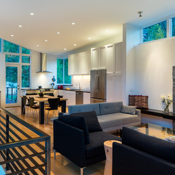 Blueline Architects Contemporary Mountain Residence