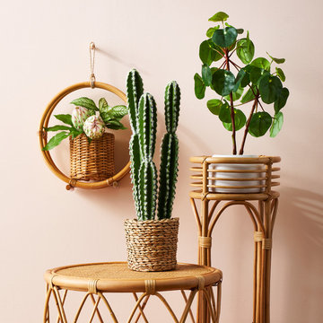 Boho-Inspired Faux Plants Decor Collection - Opalhouse™