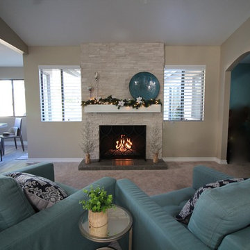 Bonsall Fireplace and living room remodel