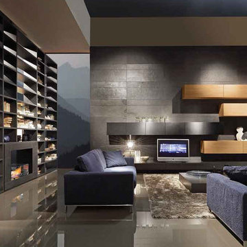 Bookshelf And Bioethanol Fireplace, Presotto Italy