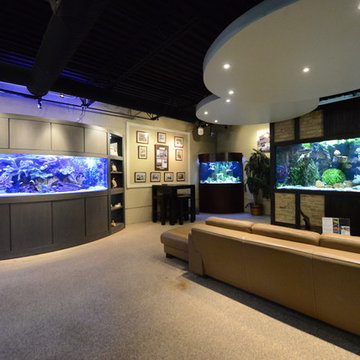 Bow Front Glass aquarium in Contemporary Wall Unit