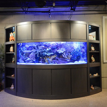 Bow Front Glass aquarium in Contemporary Wall Unit